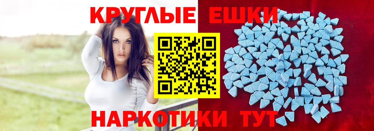 Меф Димитровград