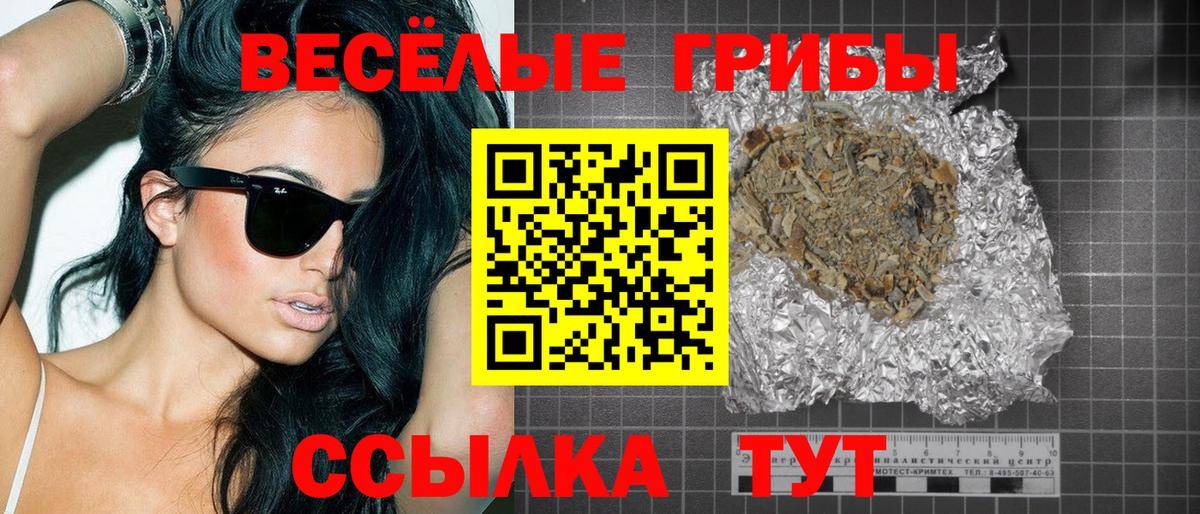 Димитровград  Галлюциногенные грибы GOLDEN TEACHER  Вход с VPN 